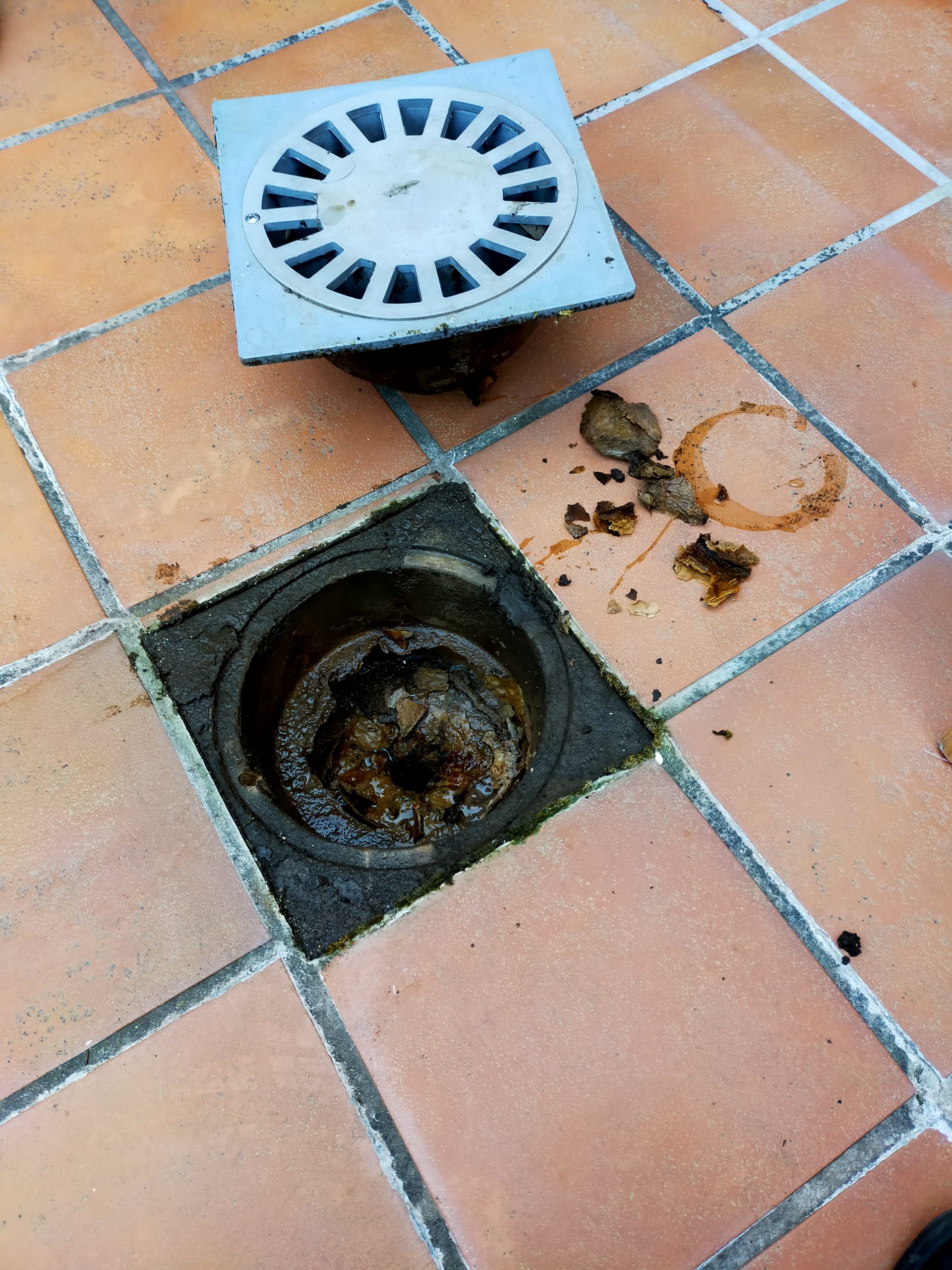 Before image