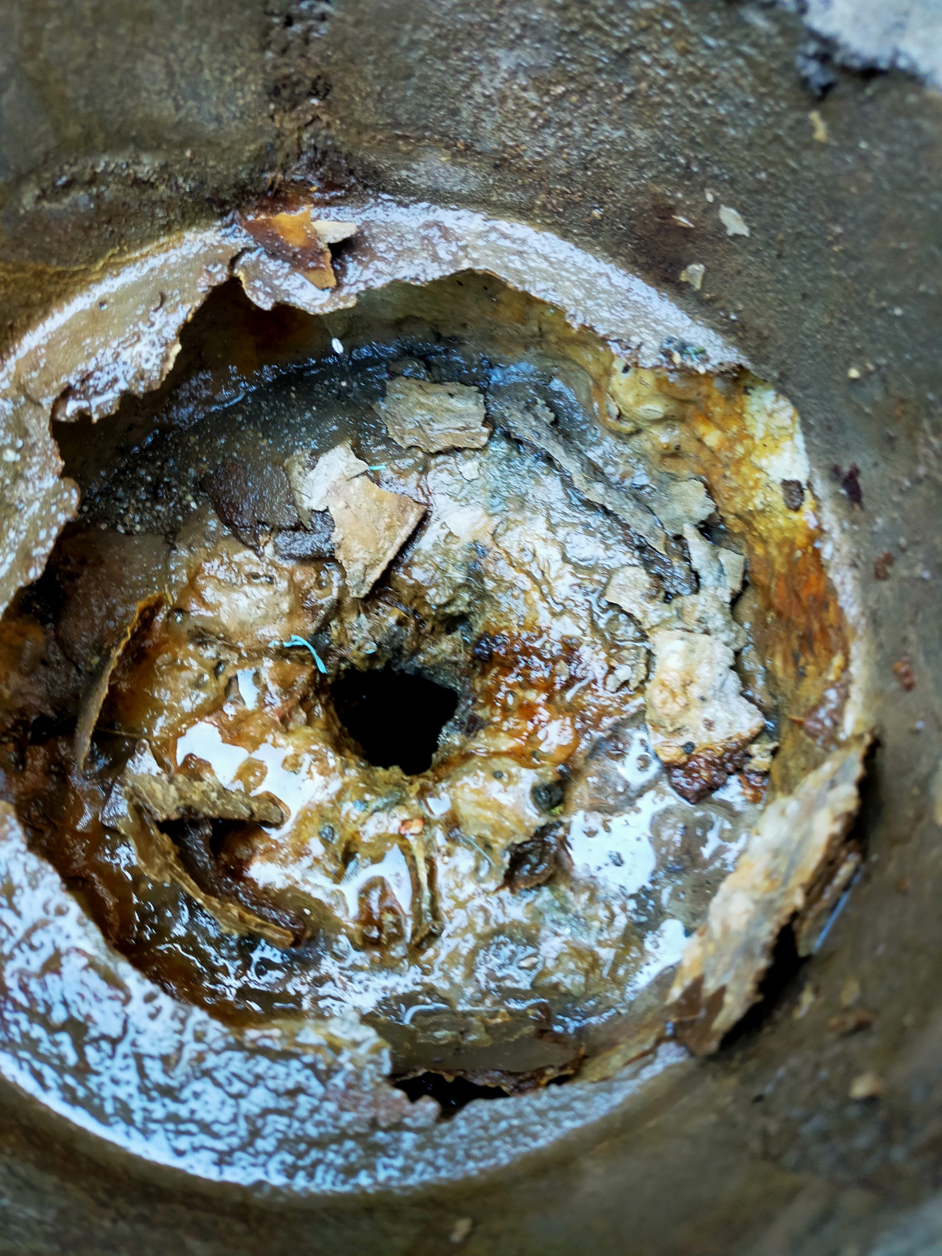 Before image