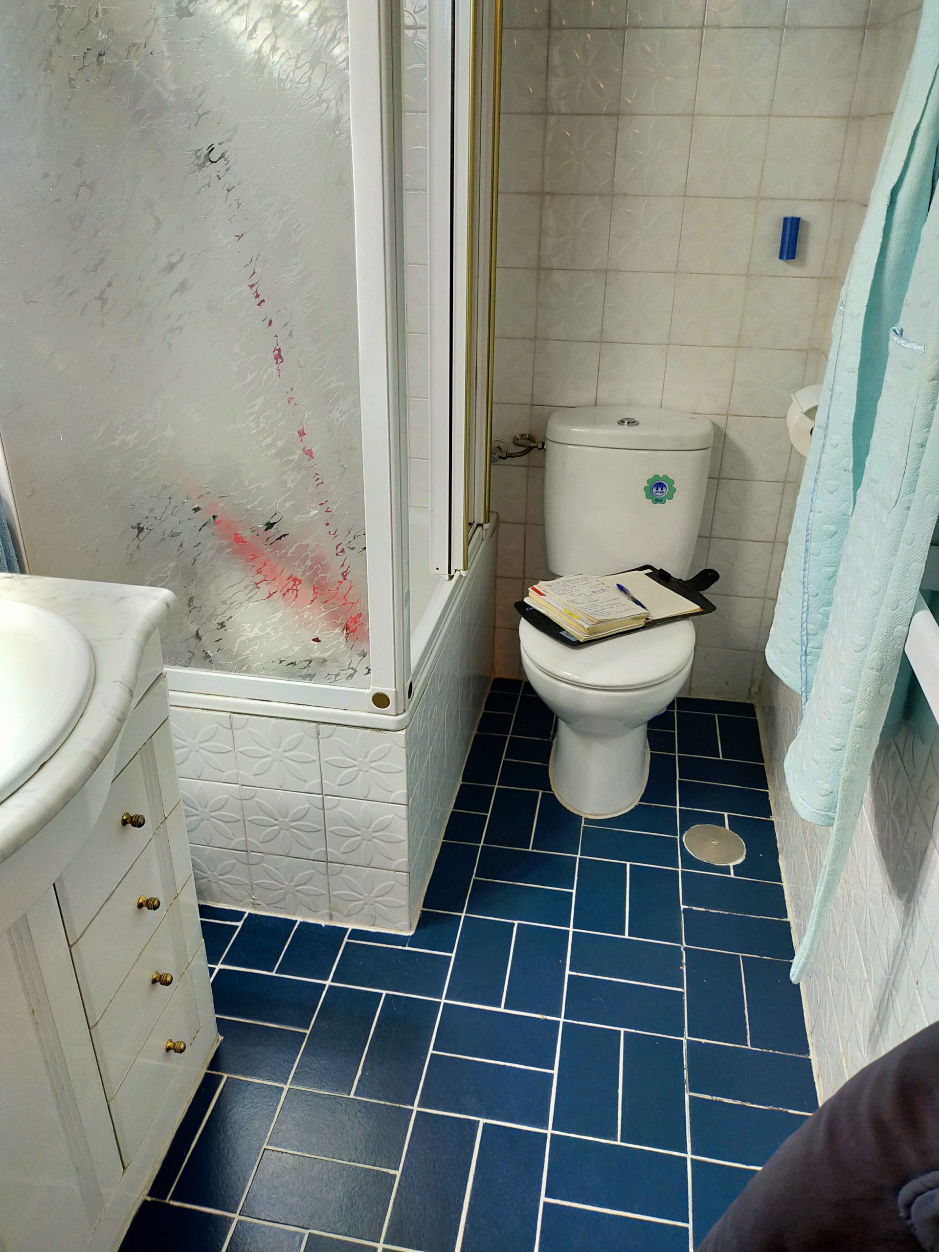 Before image